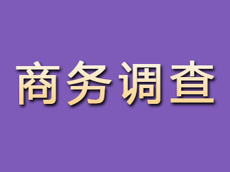 四川商务调查